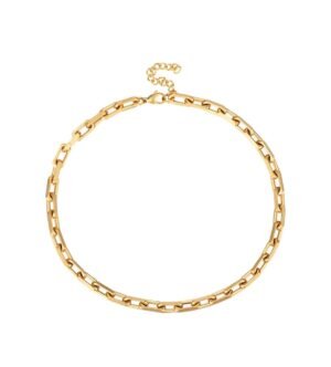 Collar Paperclip Eslabon