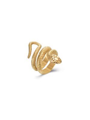 Anilo Snake