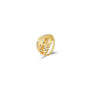 Anillo pluma