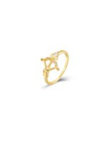 Anillo flecha